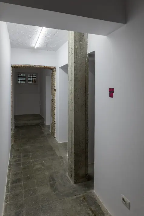 Jonida Laçi — 113, 5